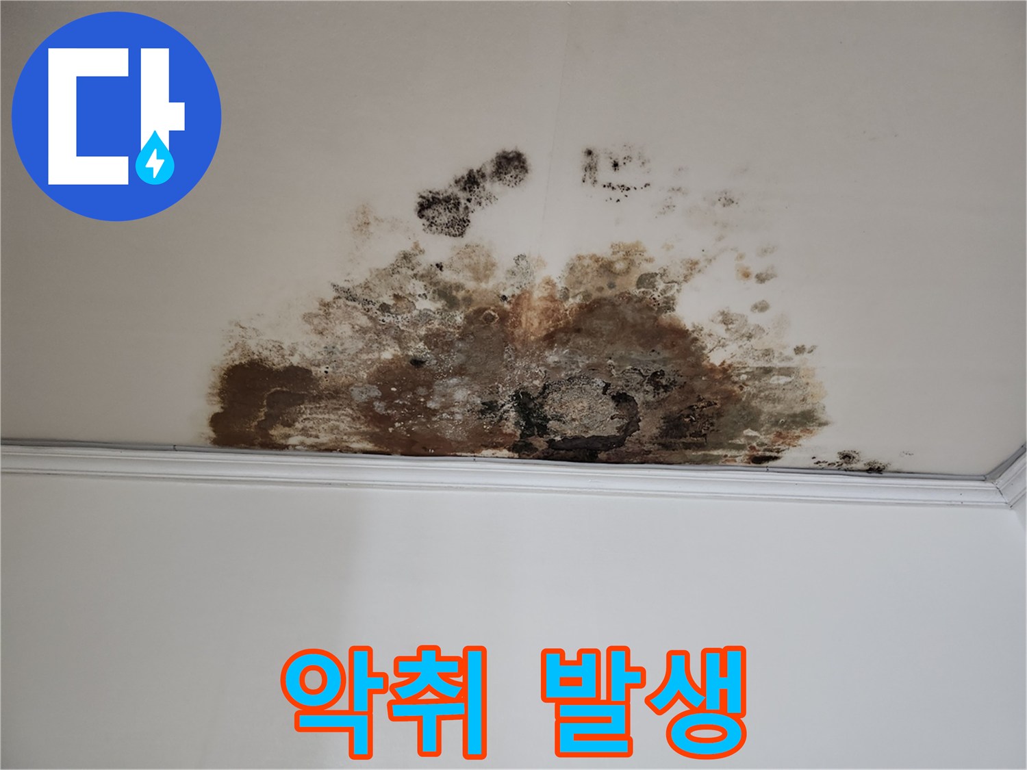 마포구 누수 - 악취 제거