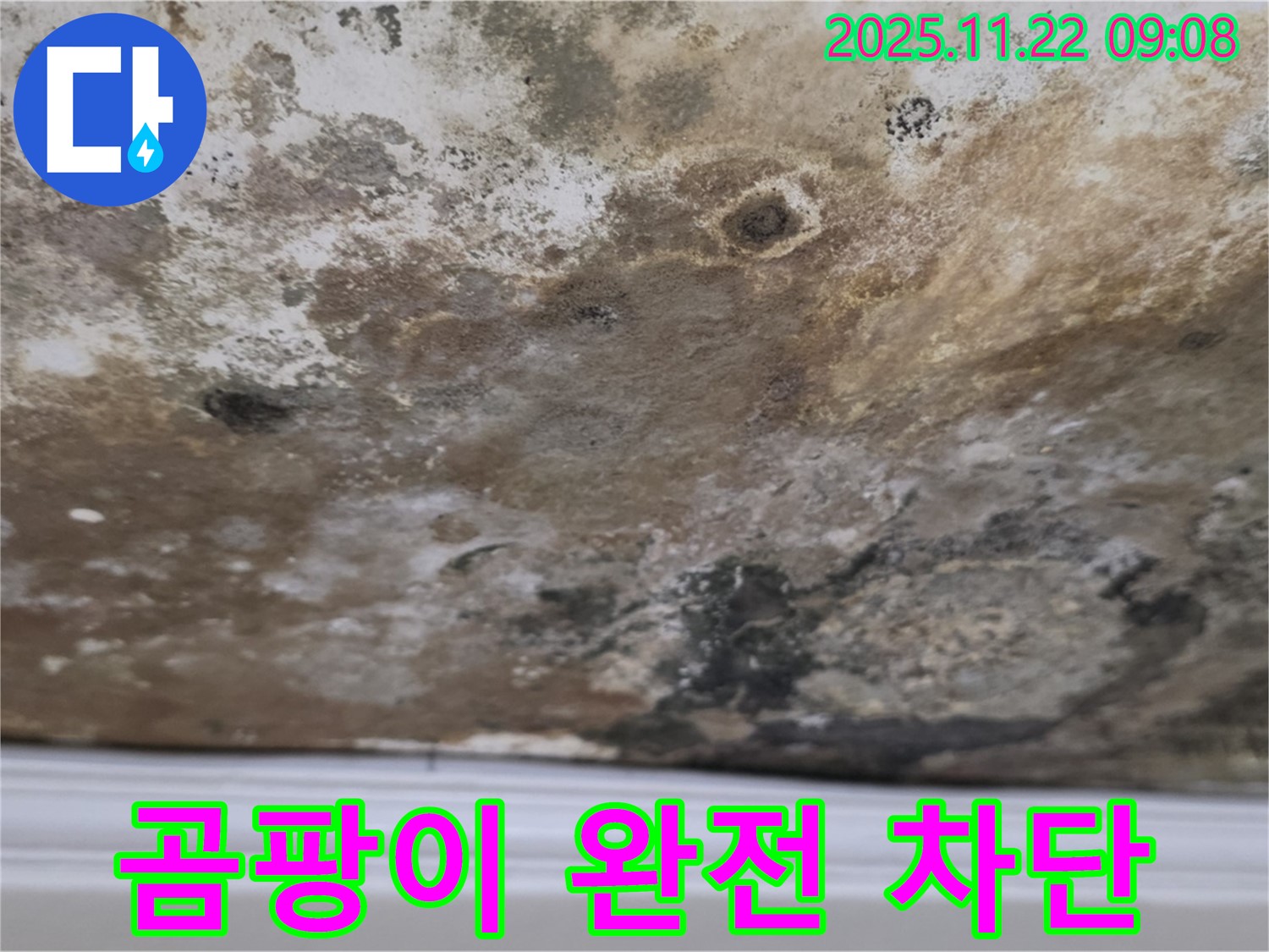 마포구 새창로8길 - 곰팡이 완전 차단, 쾌적한 천장 리뉴얼!