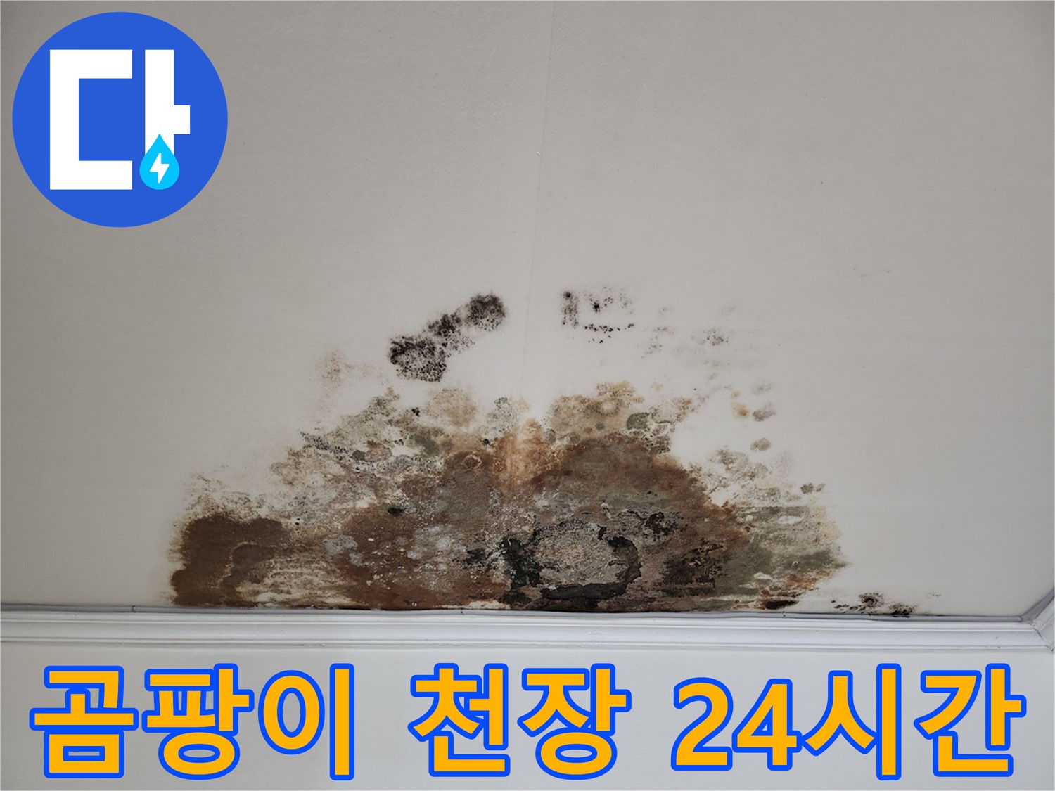 마포구 용강동 곰팡이 천장 누수 - 완벽 해결, 24시간 방문 대기