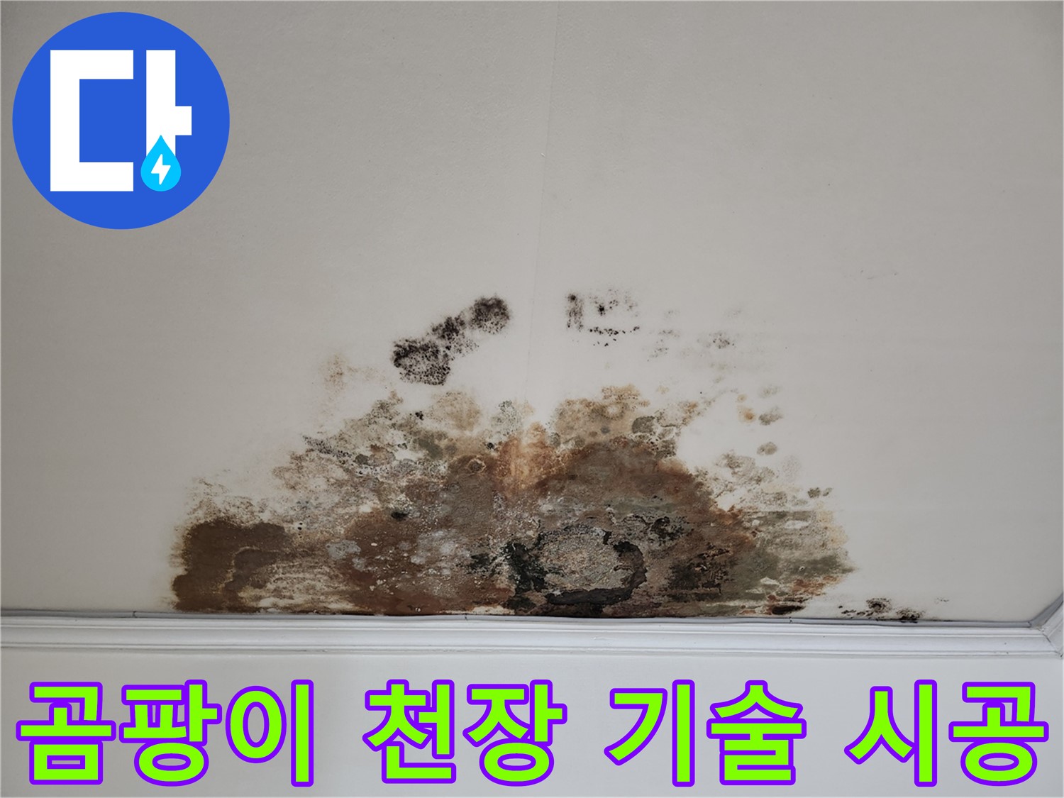 마포구 용강동 누수, 곰팡이 천장 - 베테랑 기술, 확실한 시공 책임