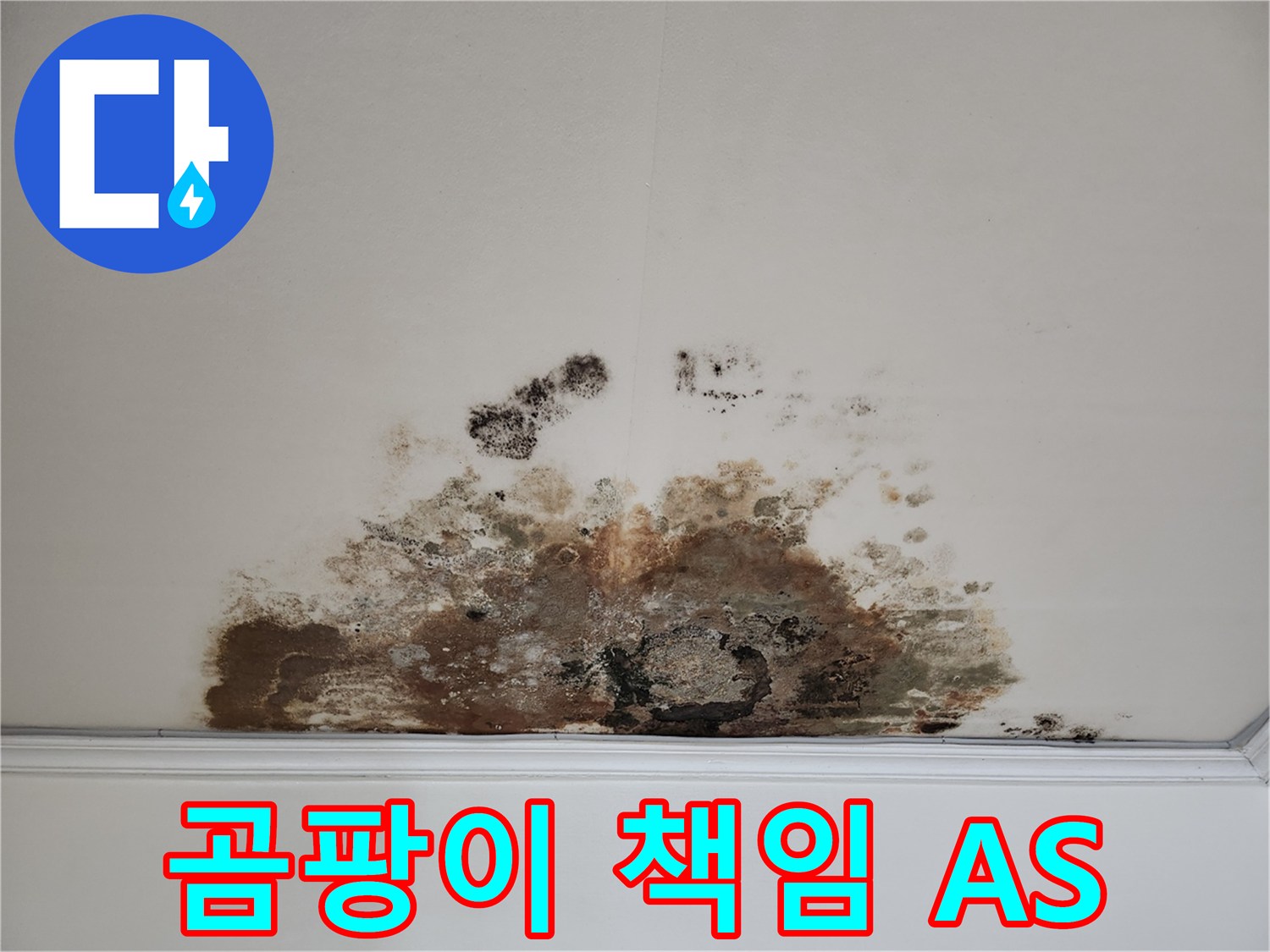 마포구 용강동 누수 - 곰팡이 천장, 철저한 A/S 및 끝까지 책임