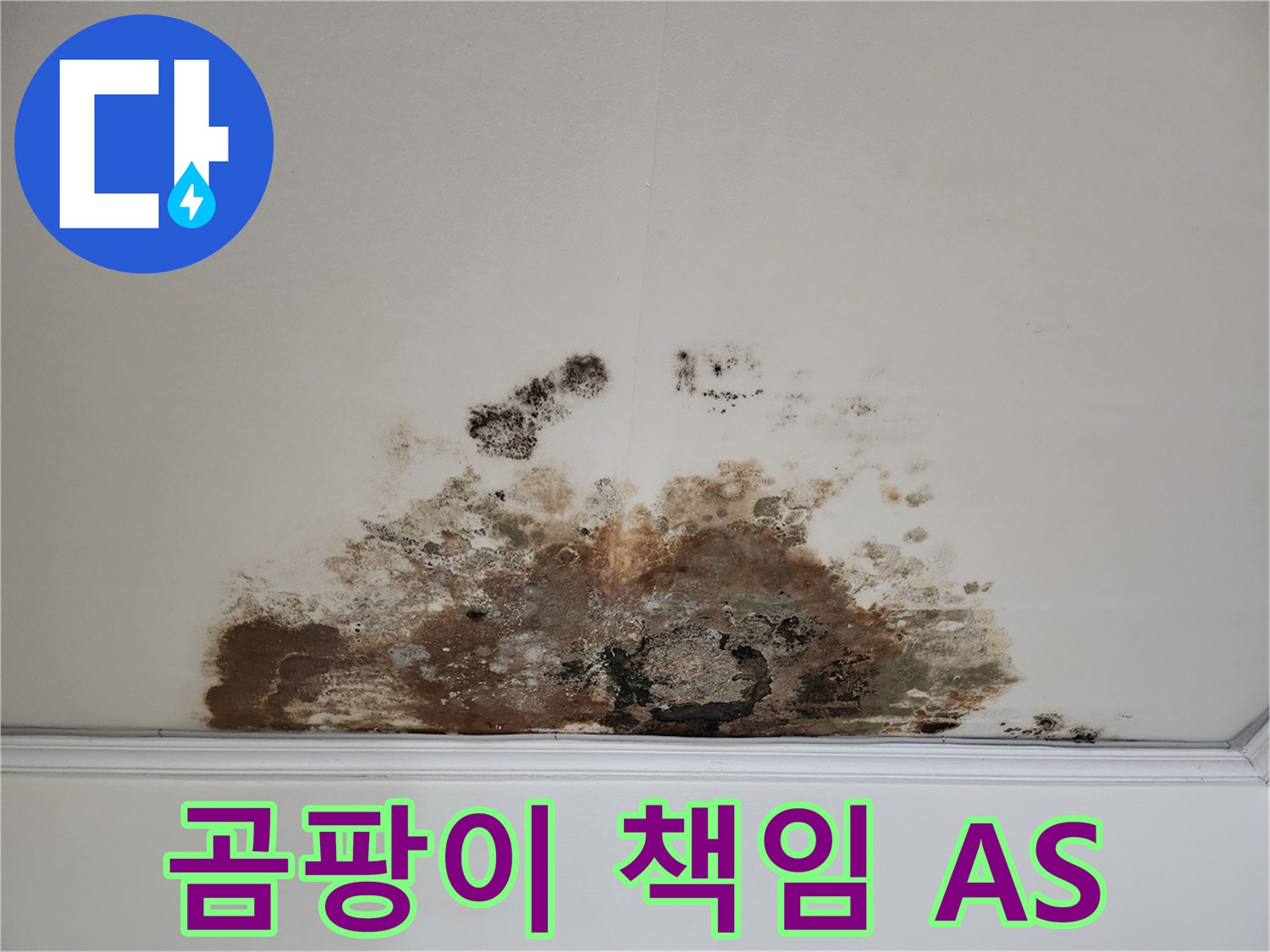 마포구 용강동 누수 - 곰팡이 천장, 철저한 A/S 및 끝까지 책임