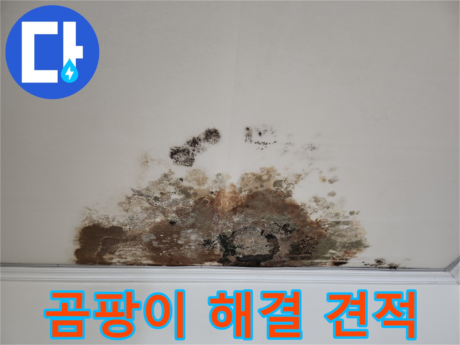 마포구 용강동 누수 - 곰팡이 천장 합리적 견적 및 완벽 해결