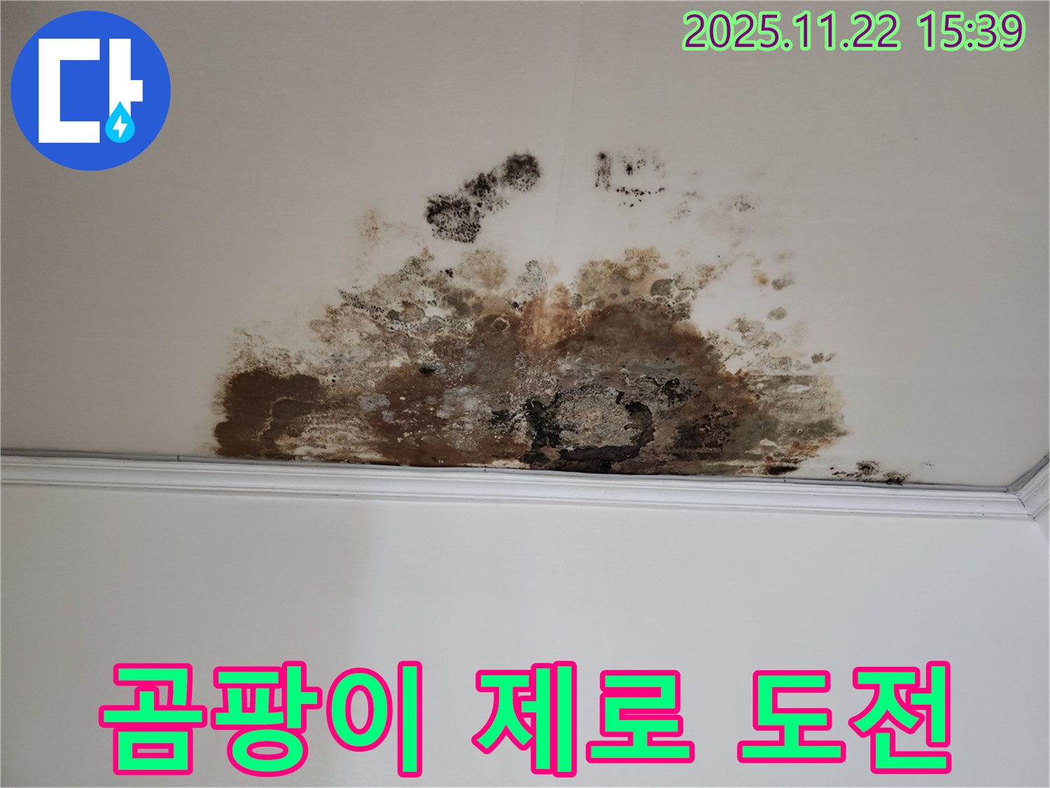 마포구 용강동 새창로8길 누수 - 곰팡이 제로, 현대홈타운 쾌적한 보금자리