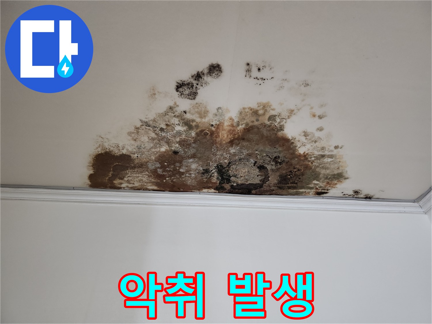 마포구 용강동 현대홈타운 누수 - 악취 발생
