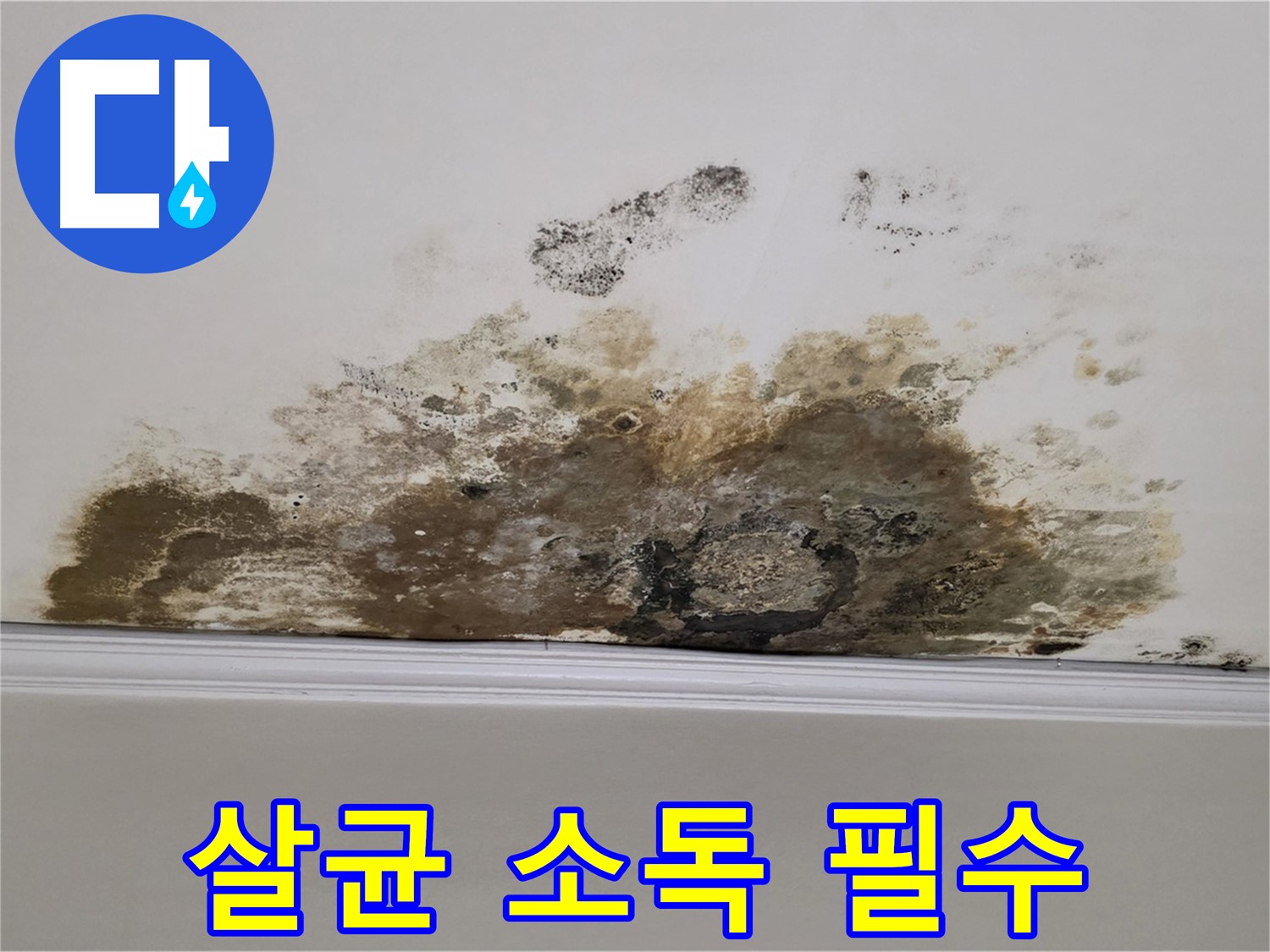 마포구 용강동 현대홈타운 아파트 - 곰팡이 - 곰팡이 제거 후 - 실내 살균 소독 필수