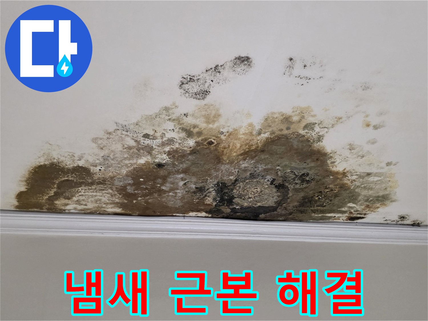 마포구 용강동 현대홈타운 아파트 - 곰팡이 천장 - 곰팡이 냄새, 근본적인 해결책