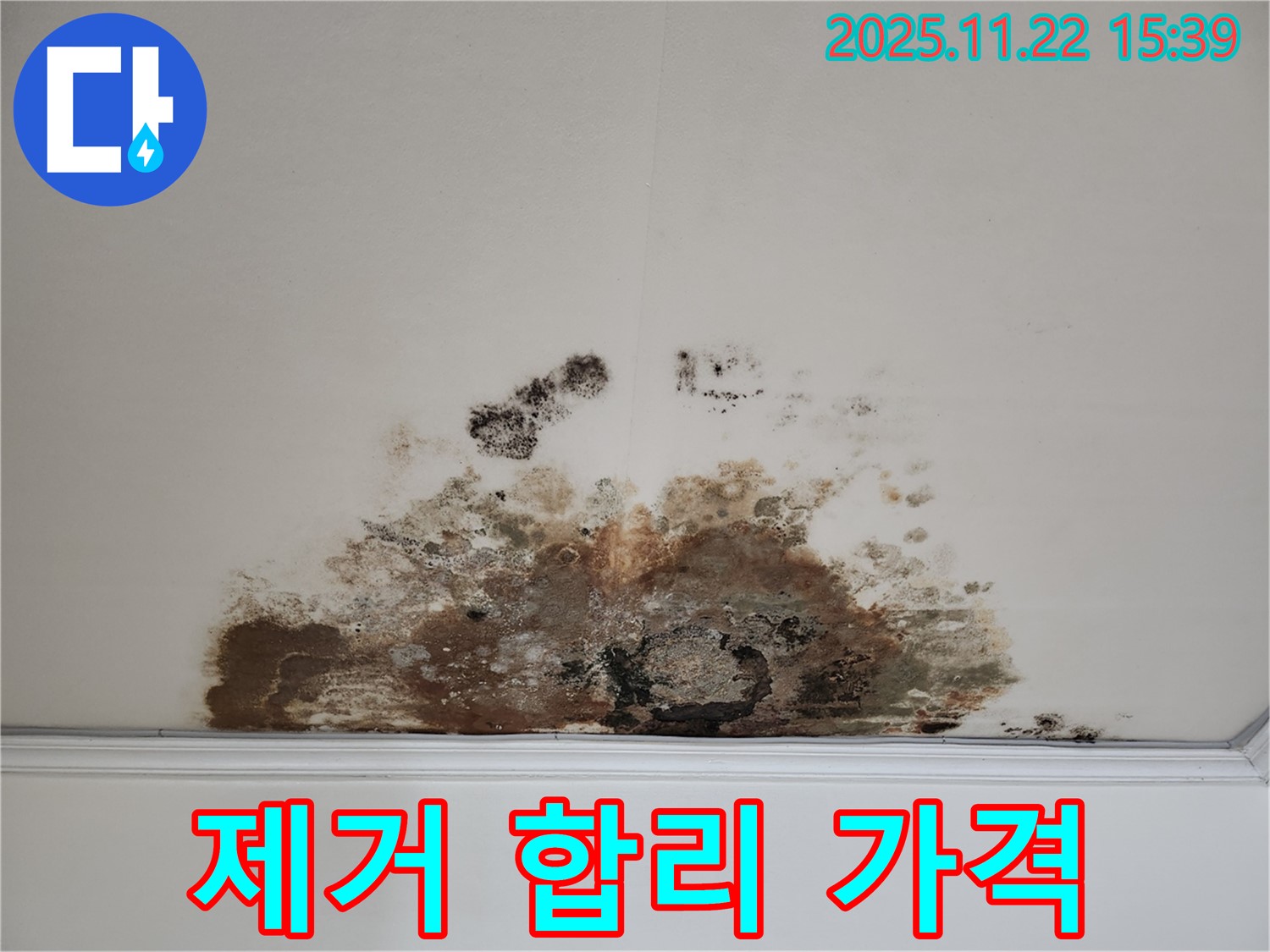 새창로 현대홈타운 아파트 - 곰팡이 천장, 곰팡이 제거, 합리적인 가격으로 해결