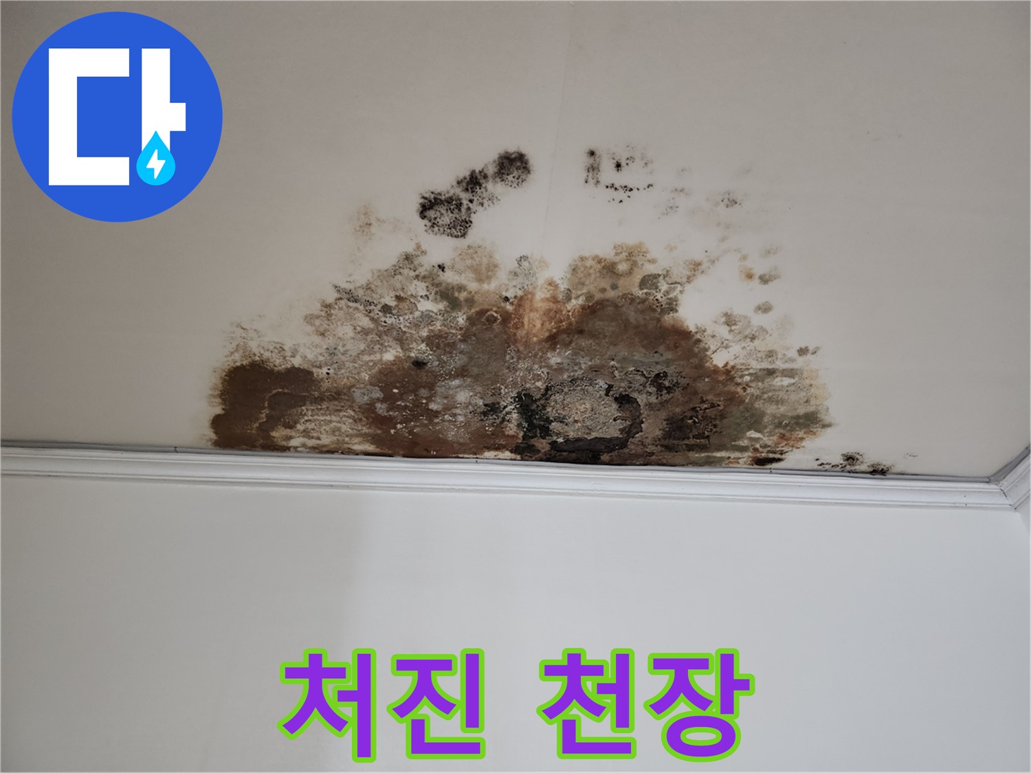 용강동 누수 - 곰팡이로 처진 천장