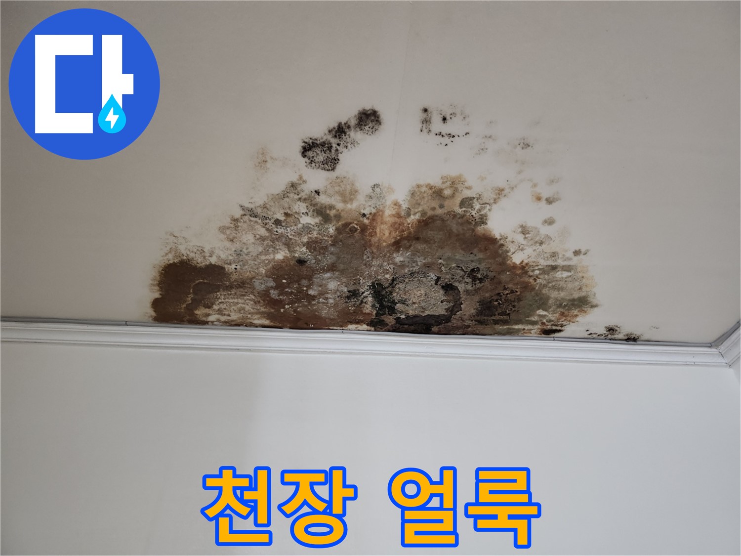 용강동 누수 - 보기 흉한 천장 얼룩