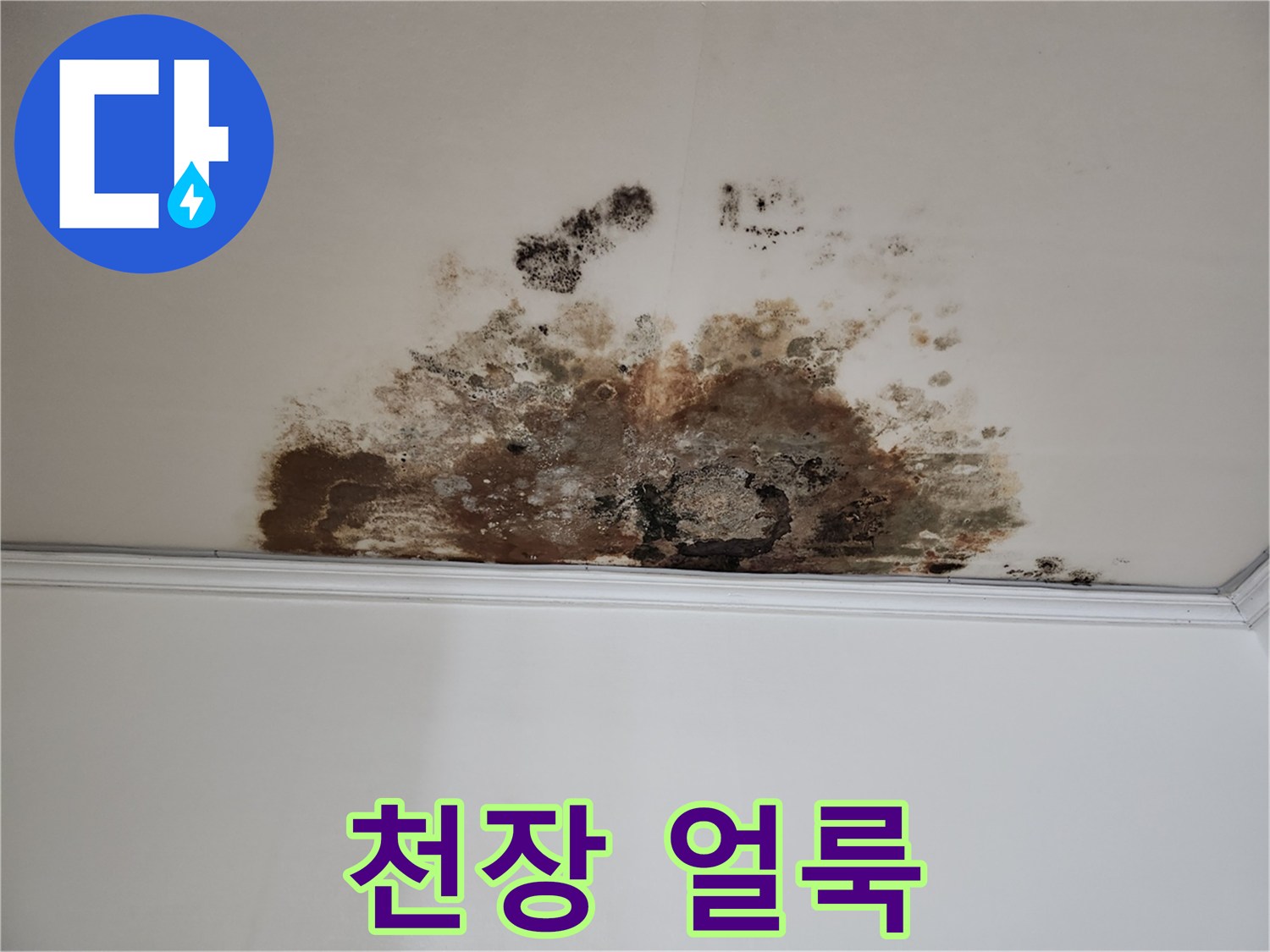 용강동 누수 - 보기 흉한 천장 얼룩