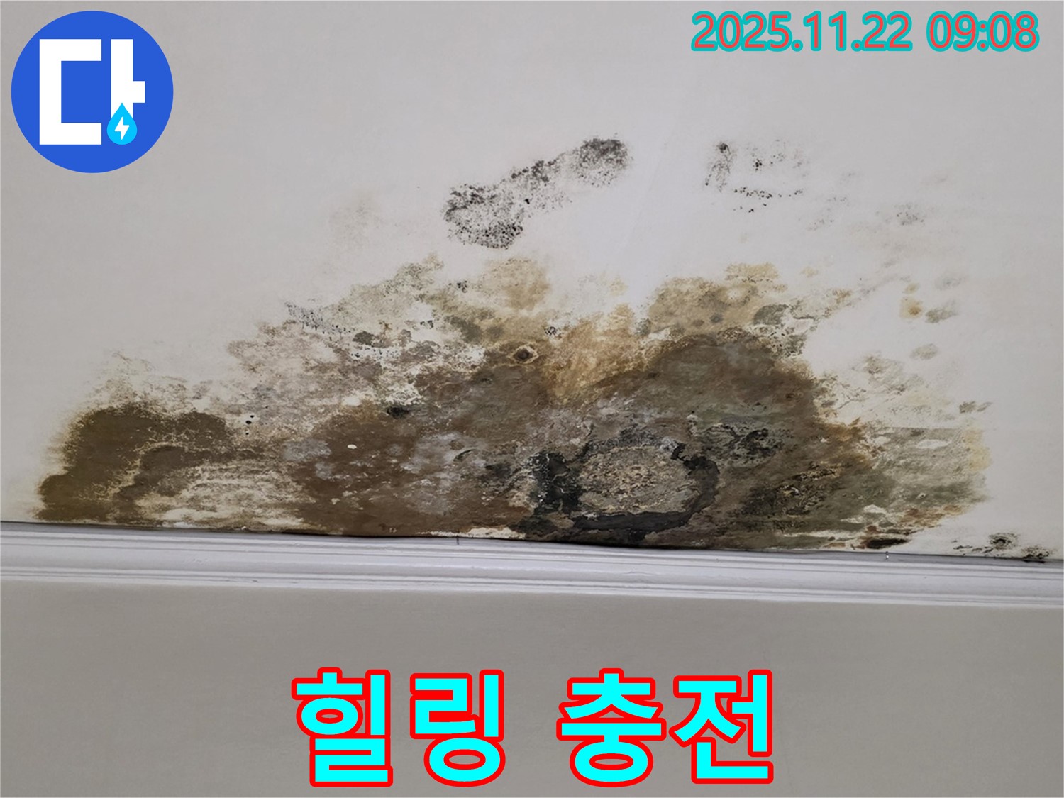 용강동 아파트 누수 - 곰팡이와의 전쟁 완전 종료, 쾌적한 공간에서 힐링 풀파워 충전!