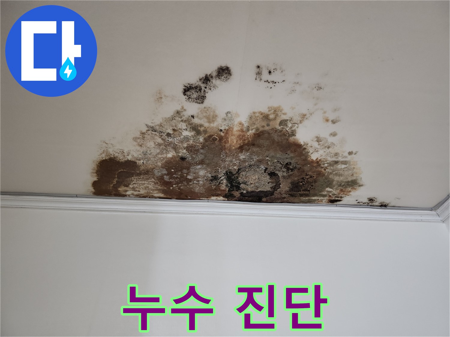용강동 아파트 누수 - 정확한 누수 진단 과정