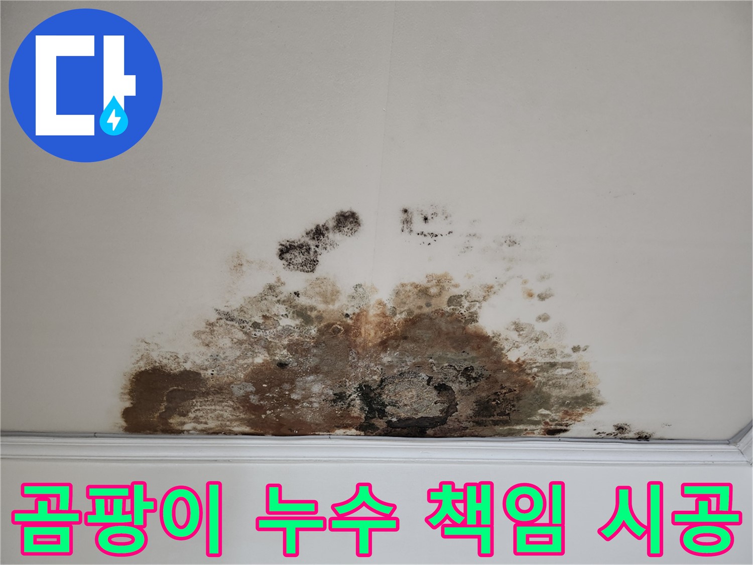 용강동 천장 곰팡이 누수 - 100% 책임 시공 재발 방지 약속