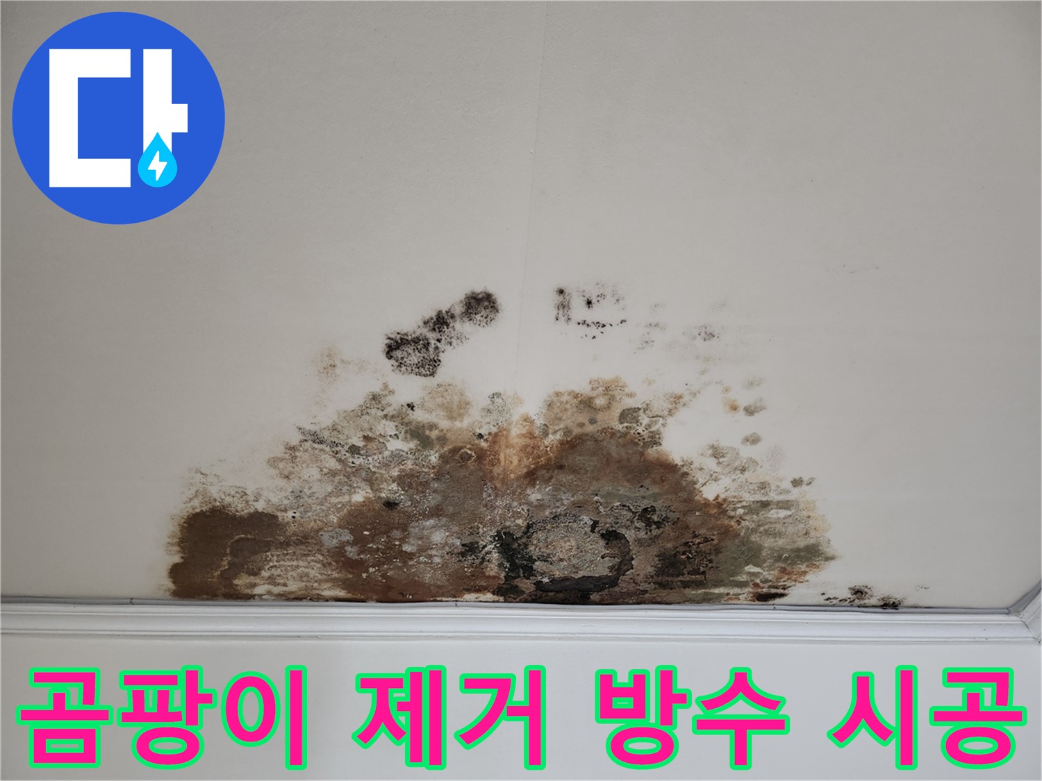 용강동 천장 누수 - 곰팡이 제거 및 완벽한 방수 시공 후기
