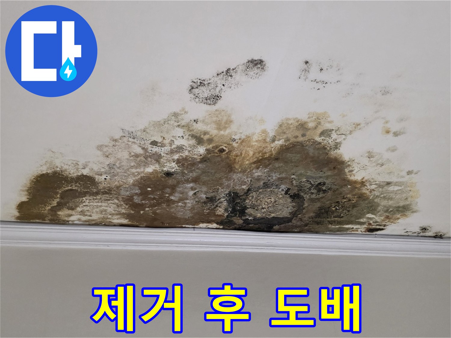 용강동 현대홈타운 아파트 누수 - 곰팡이로 인한 천장 곰팡이 - 곰팡이 제거 후 도배 시공