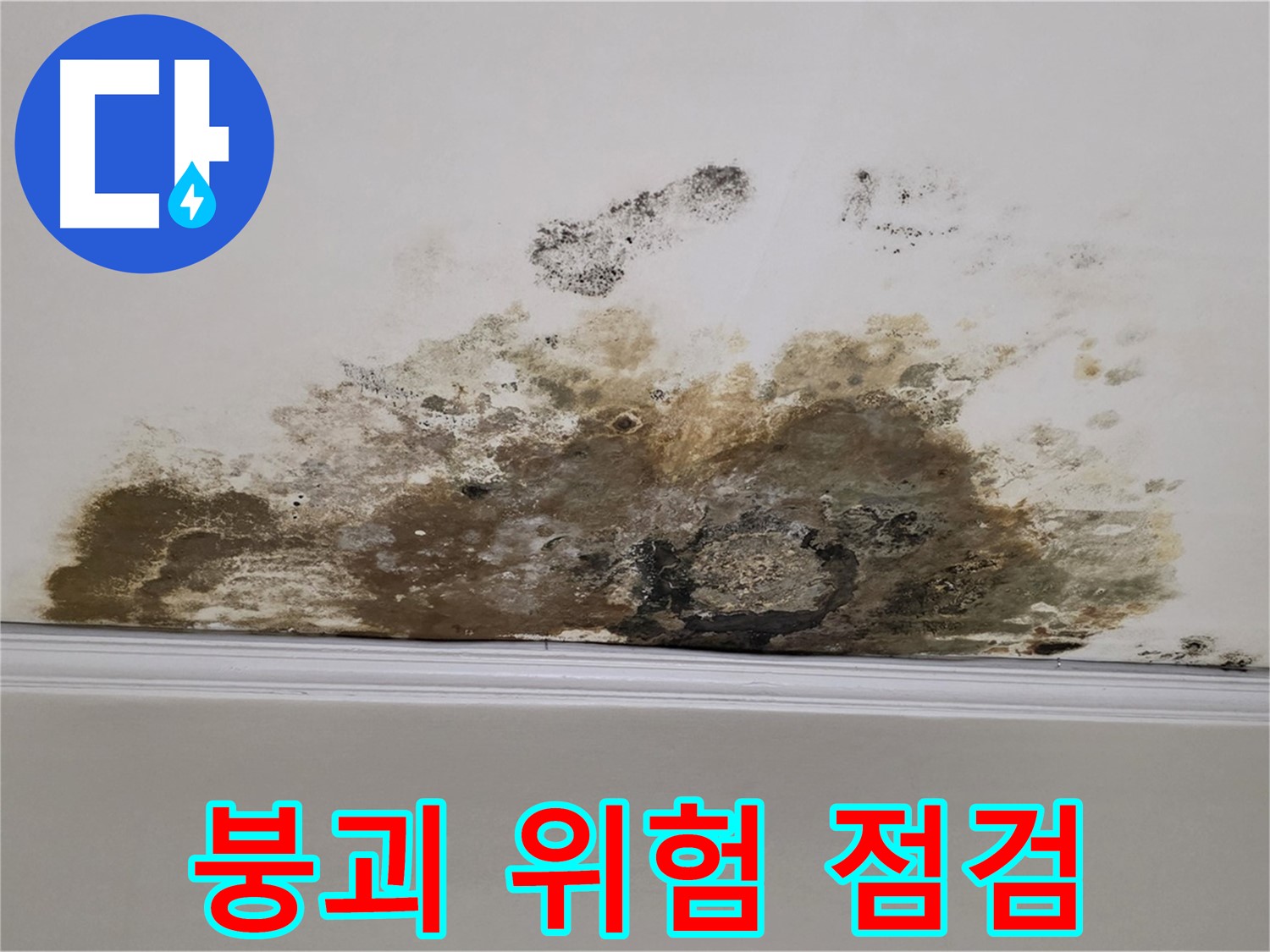 용강동 현대홈타운 아파트 누수 - 곰팡이로 인한 천장 붕괴 위험 - 긴급 안전 점검 실시