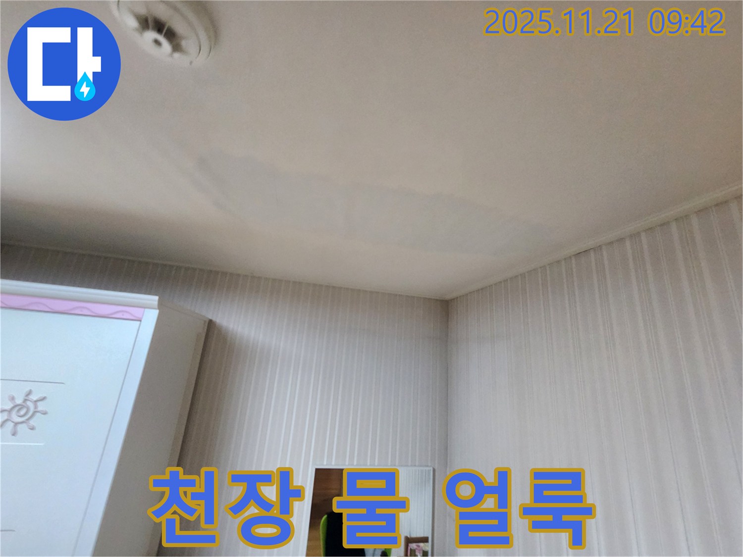 목동 성보아파트 천장에 생긴 물 얼룩-누수 해결 후 도배 복구까지 책임집니다
