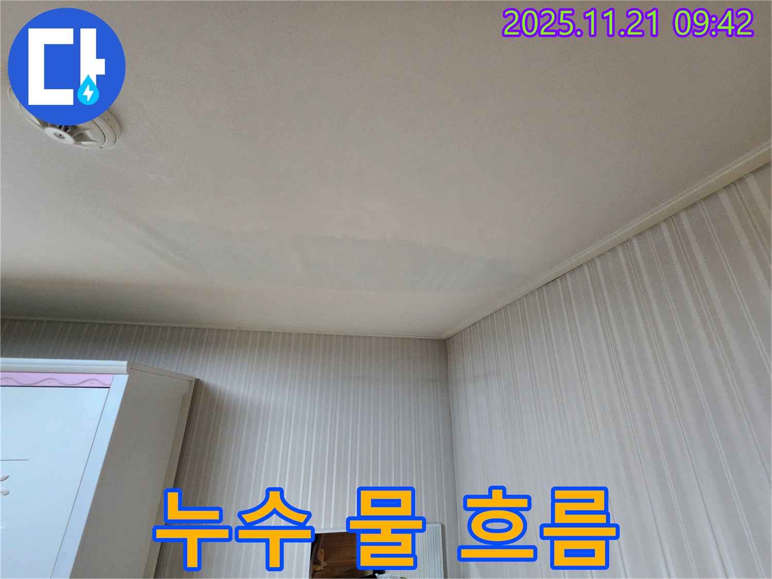 목동 아파트 천장 누수-물 흐름 패턴을 분석하여 누수 지점 추정