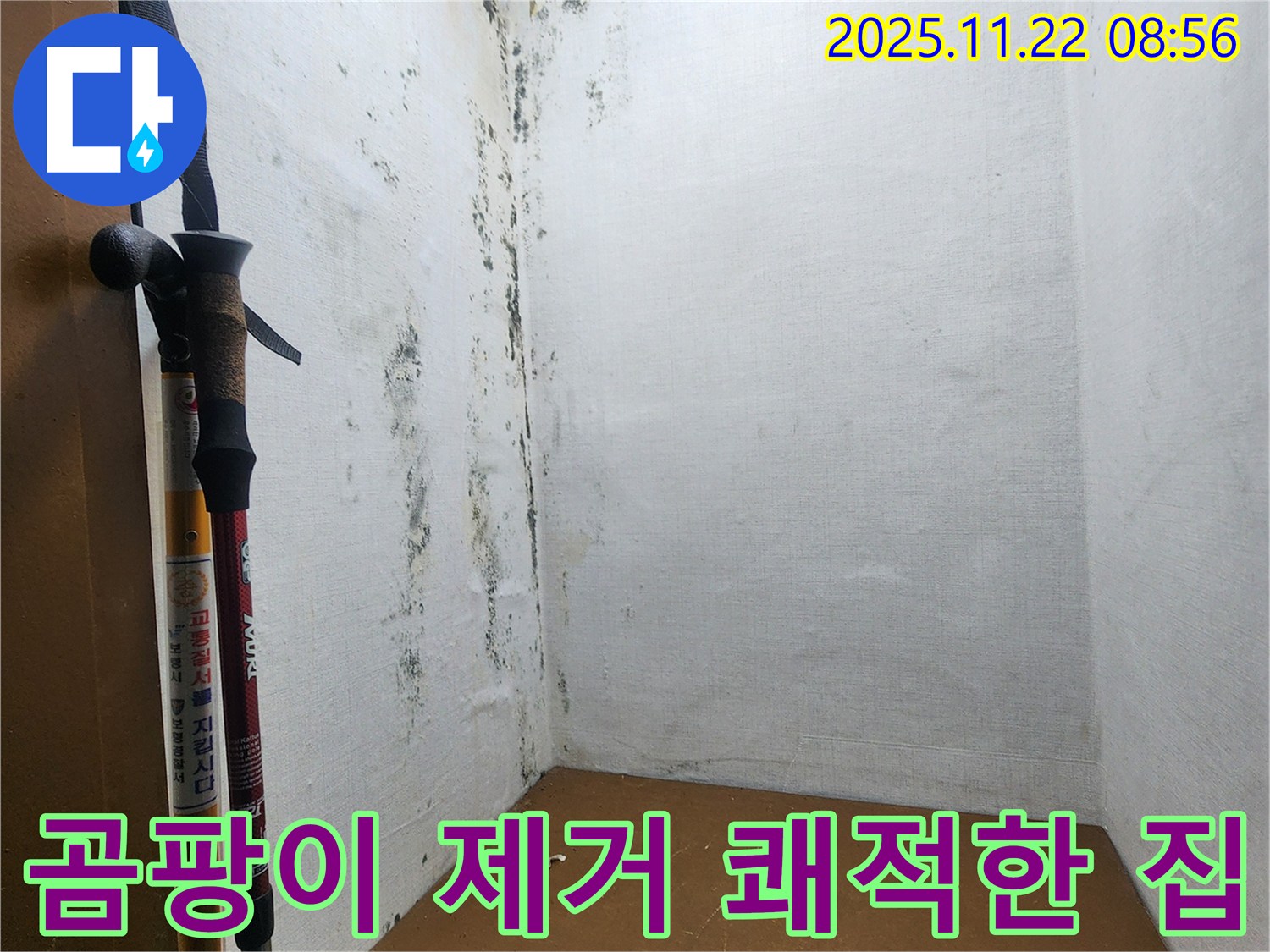 곰팡이 제거 후 쾌적한 보금자리로 변신