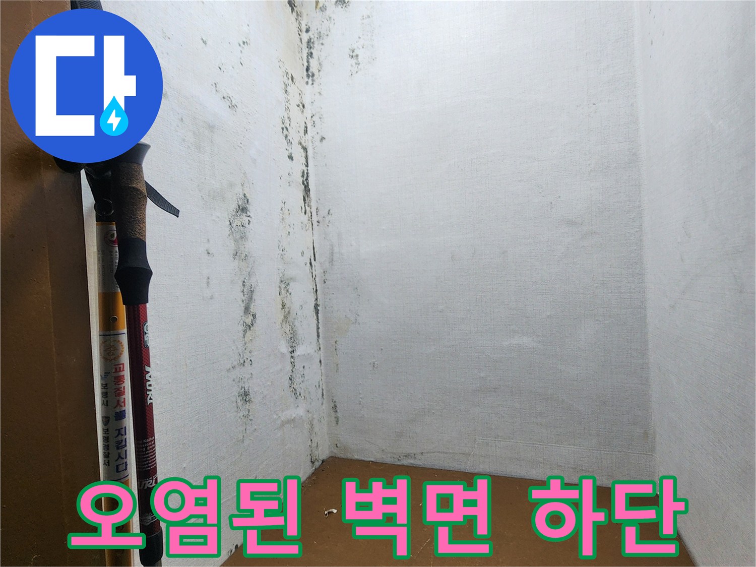 누수로 인해 부식되고 곰팡이가 번진 벽면