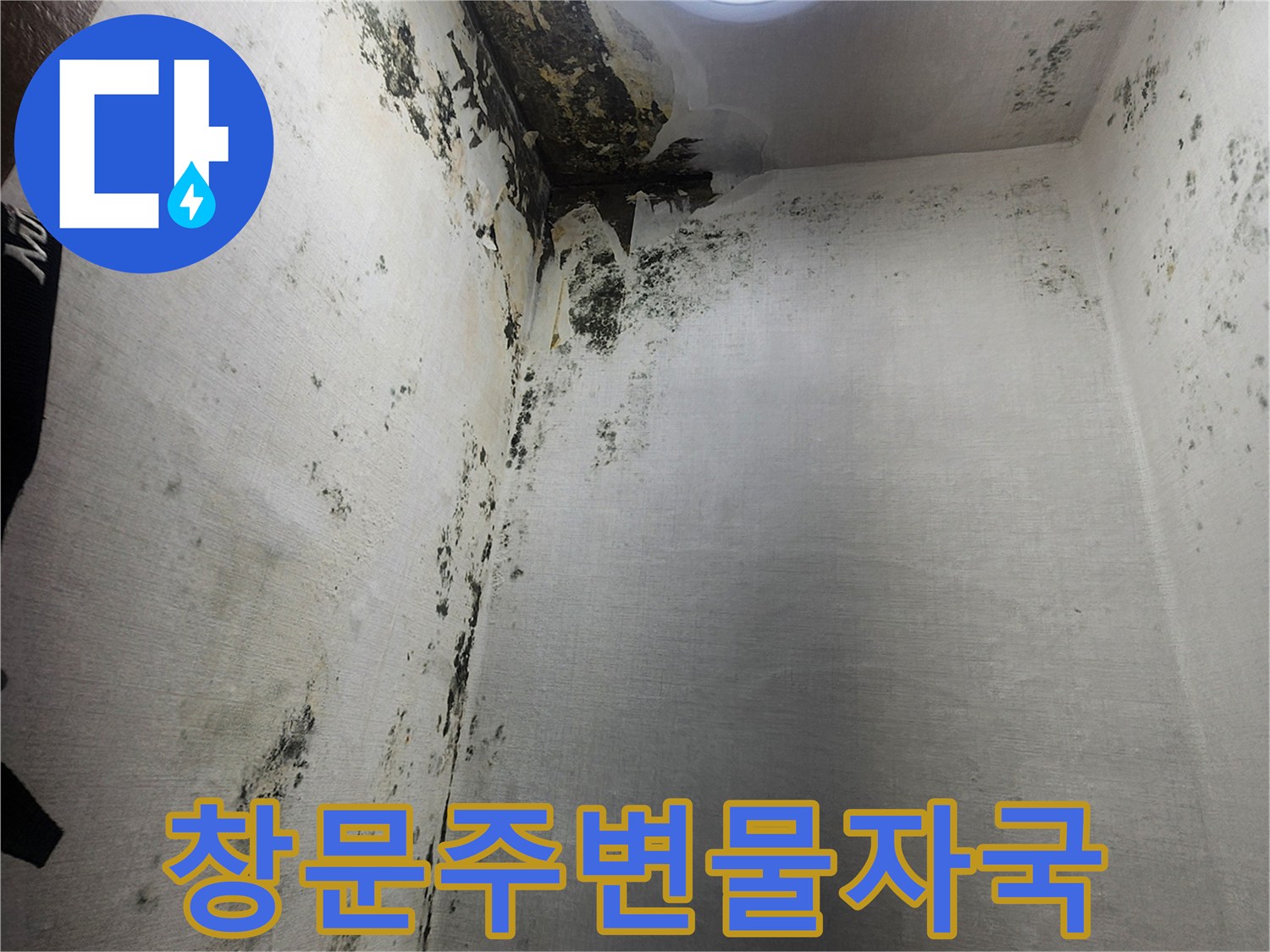 수분 침투로 검게 변한 창문 하단 벽면 부위