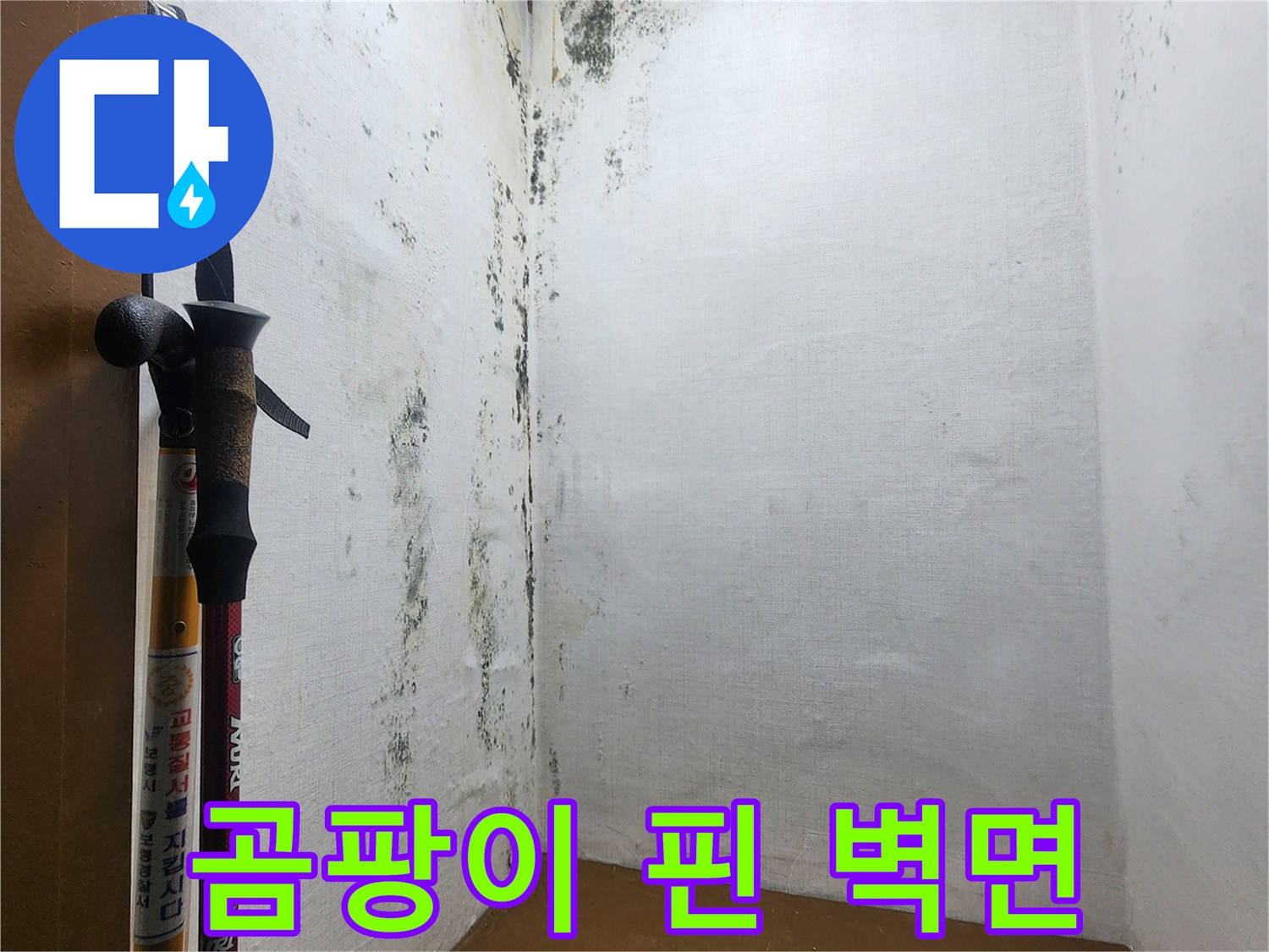 의정/다용도실-벽면-곰팡이-및-부식-상태
