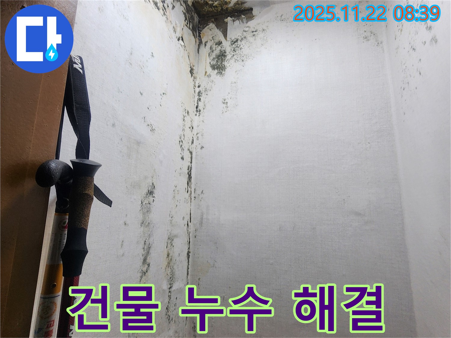 의정부 신곡동 누수 해결 후 - 곰팡이 없이 깨끗해진 집 내부를 보여주는 이미지입니다.
