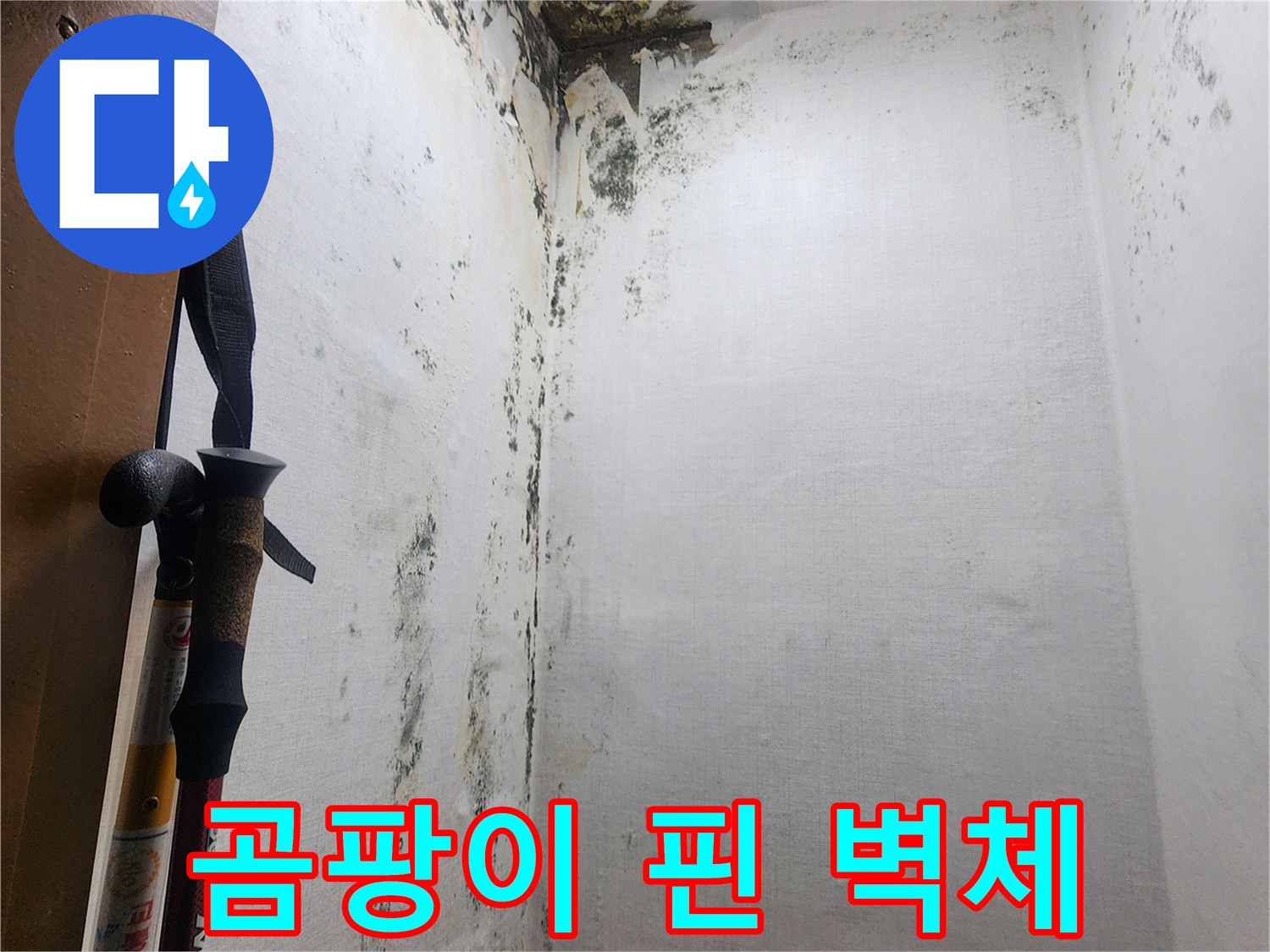 의정부-신곡동-다용도실-벽면-곰팡이-및-부식-상태