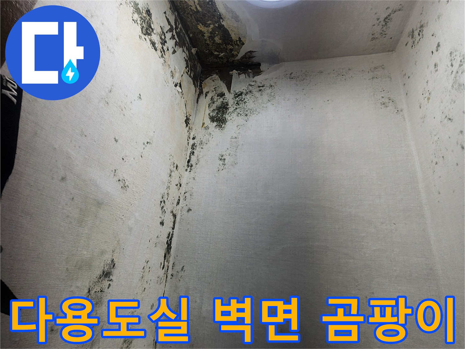 의정부 신곡동-다용도실-벽면에-퍼진-검은-곰팡이와-부식된-상태