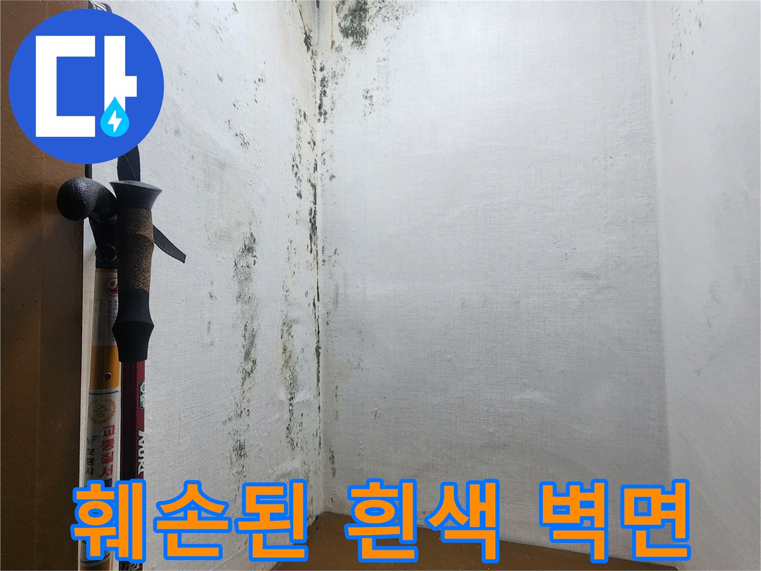 의정부_신곡동-곰팡이로_오염된_실내_벽면_모습