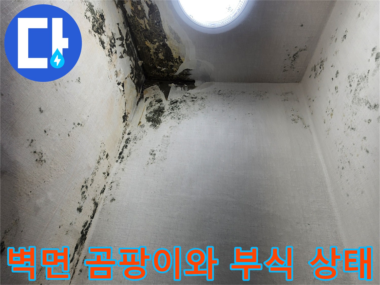 의정상 신곡동-다용도실-벽면-곰팡이-및-부식-현황