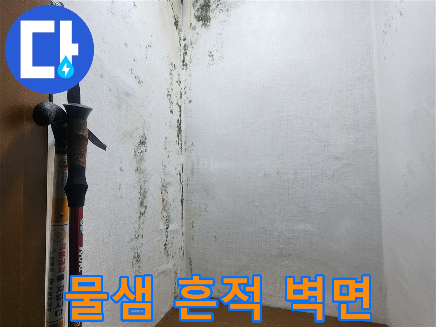 페인트가 벗겨지고-곰팡이가 생긴-벽체 하단