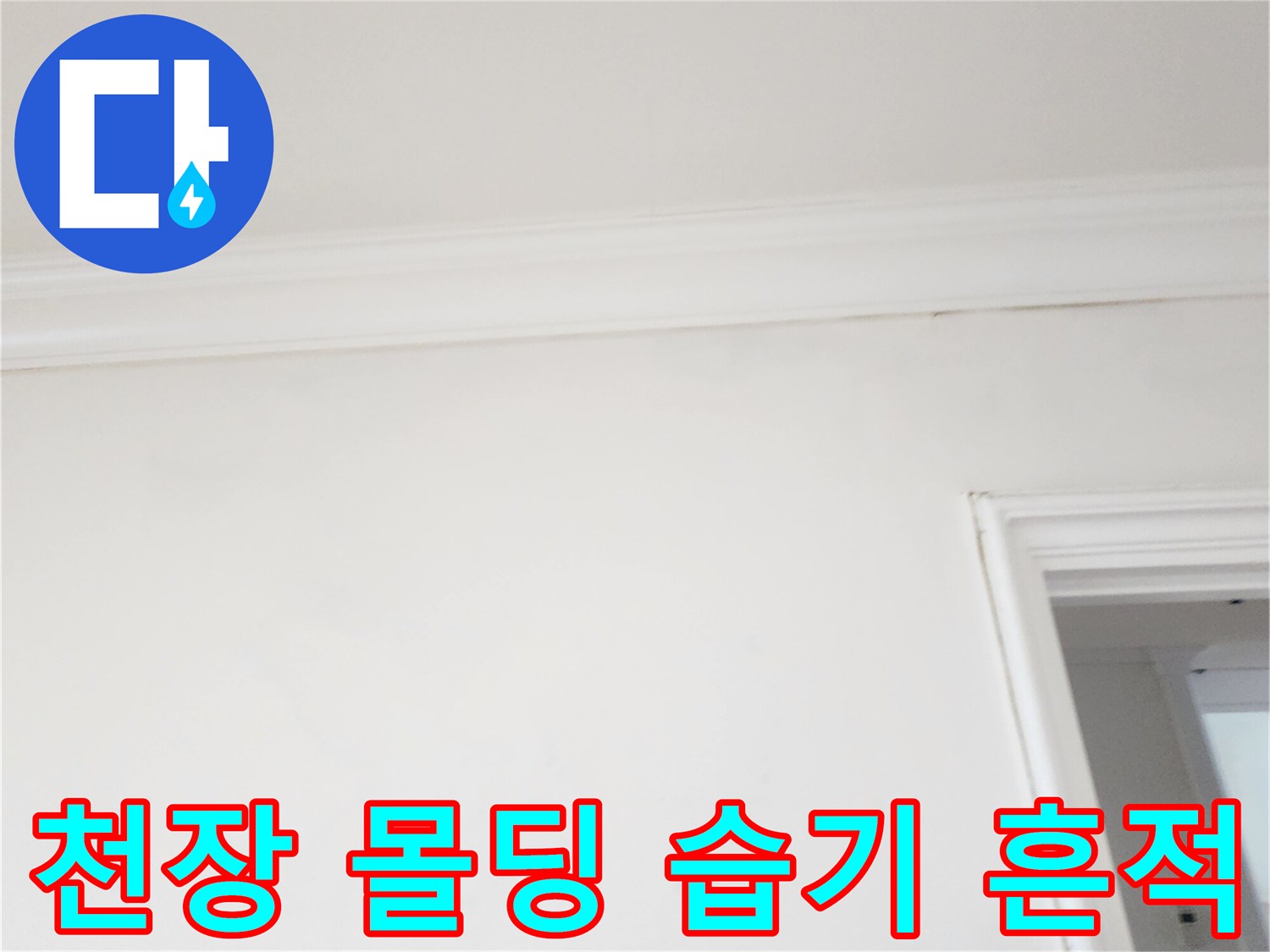 하얀색 벽지와 몰딩 경계에 나타난 어두운 얼룩