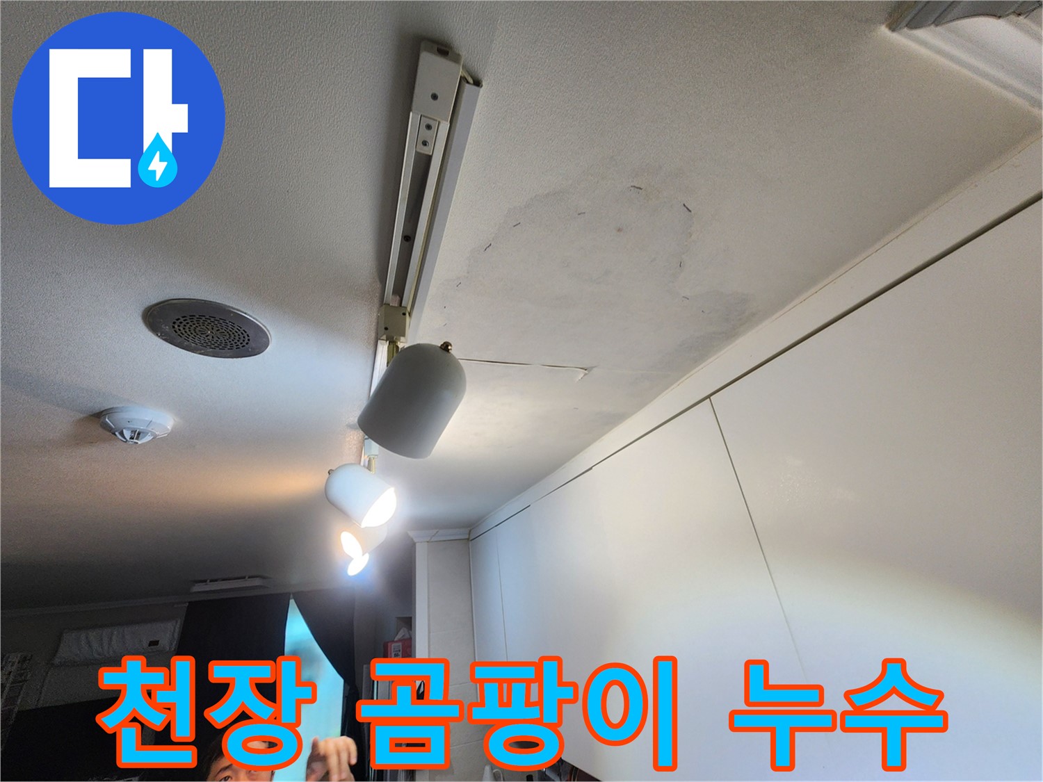 공릉2단지 아파트 천장 누수 - 곰팡이로 인한 건강 위협 - 긴급 곰팡이 제거 작전 개시