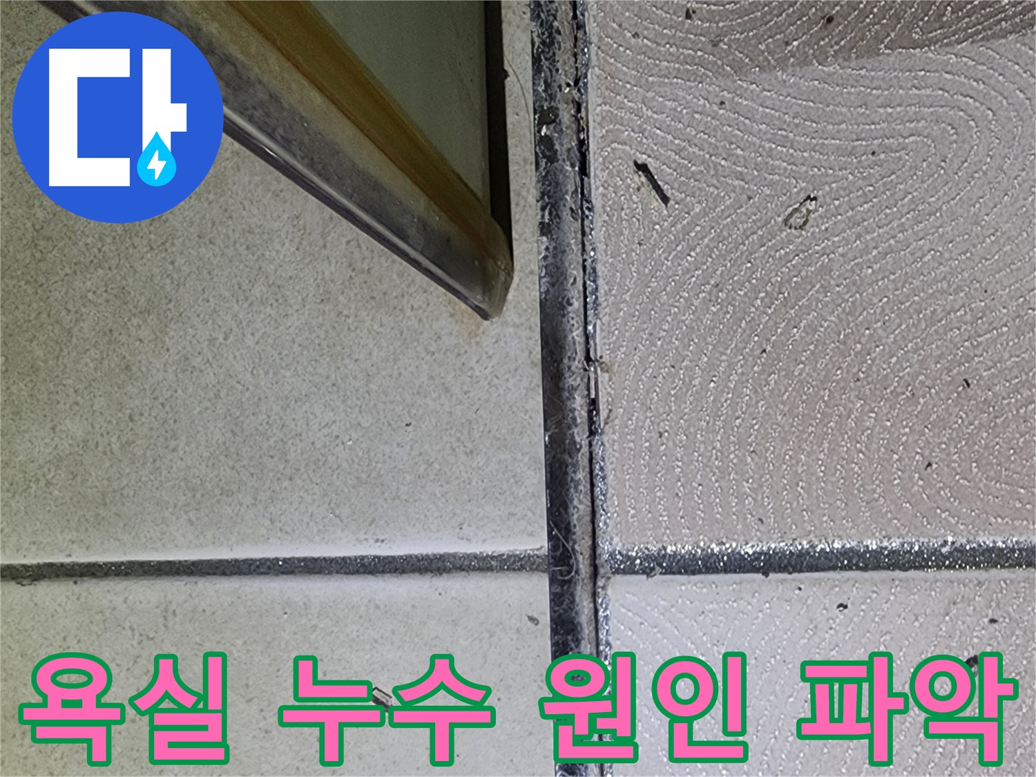 광교 e편한세상 욕실 누수 원인 파악 - 타일 상태 점검