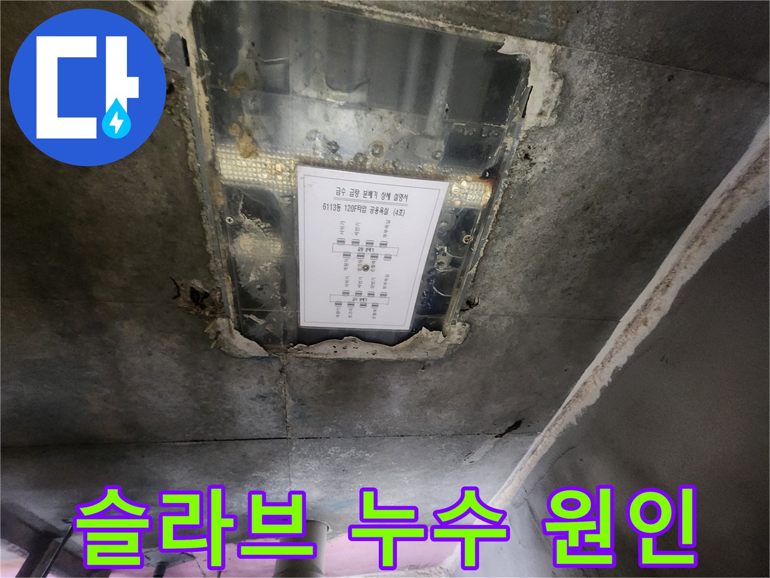 이의동 아파트 슬라브 누수 - 누수 원인 파악과 맞춤형 해결책 제시