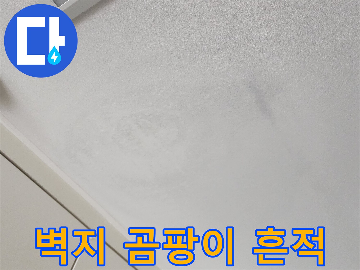 가산면 현장 사진-천장 벽면의 습기 및 곰팡이 진행 상태