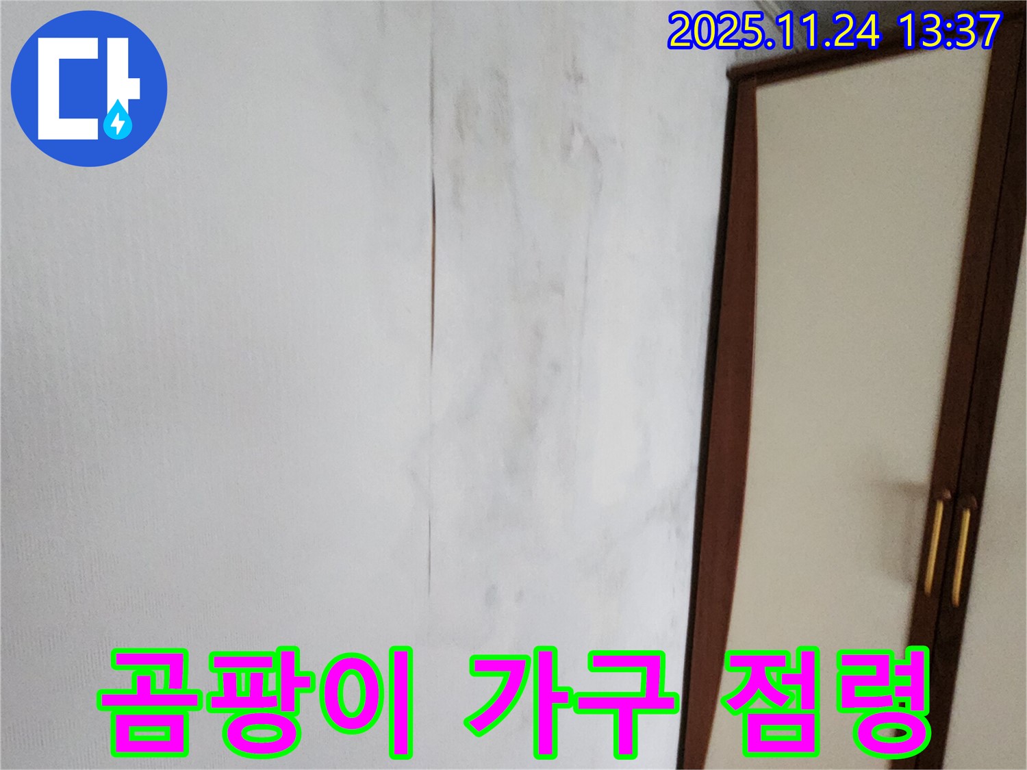곰팡이 - 가구까지 점령 - 방치 금지