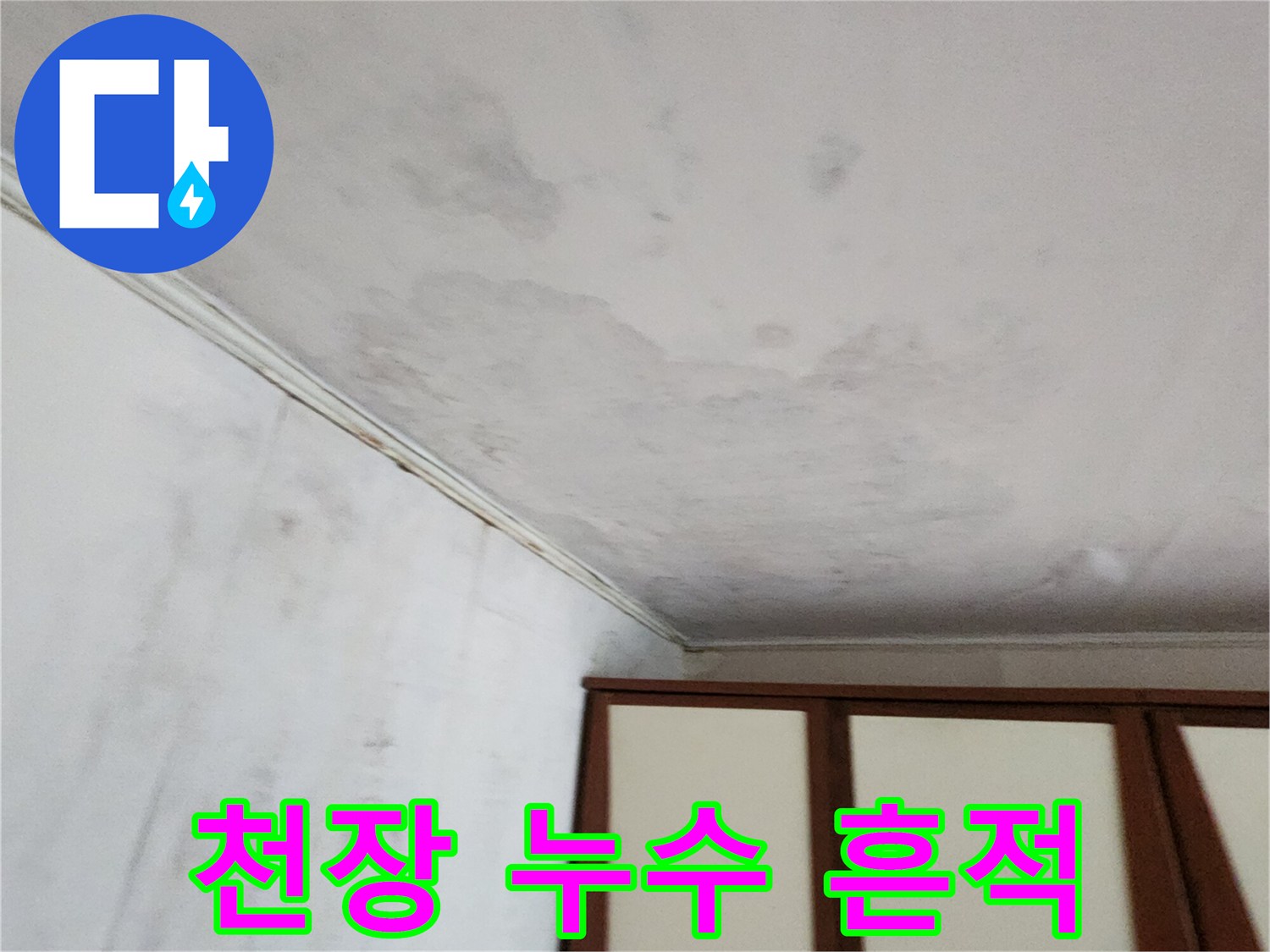 물샘으로 인한-천장 벽지의 심한 곰팡이 오염