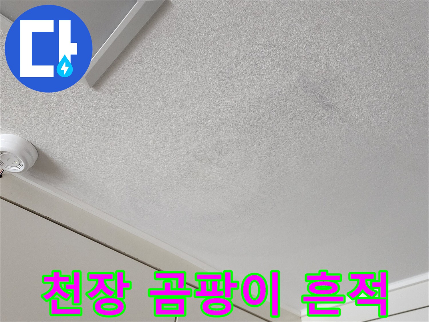 벽면 상단 천장 부근의 곰팡이 및 습기 흔적