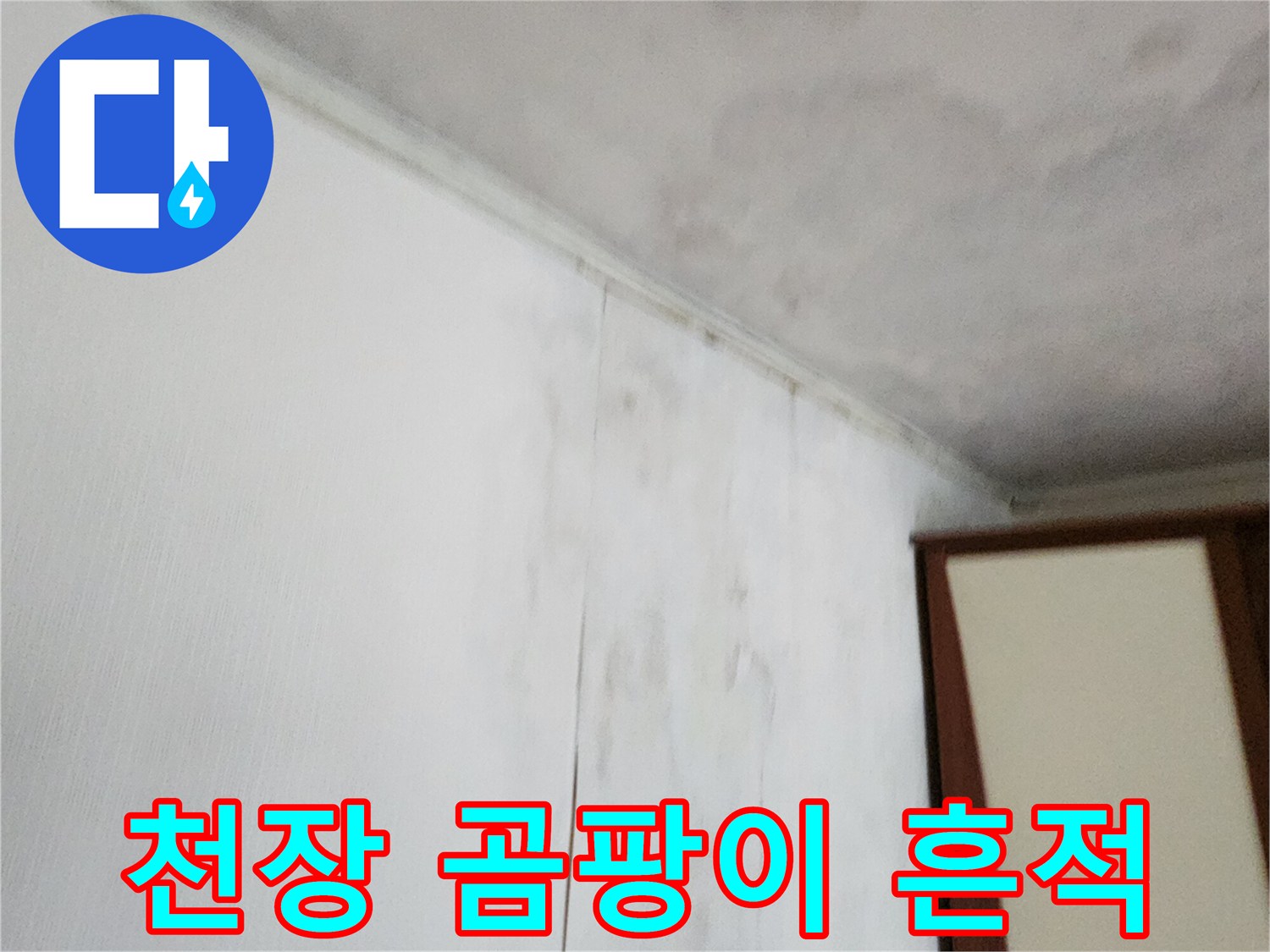 벽지-상단에-번져있는-물샘과-곰팡이-자국