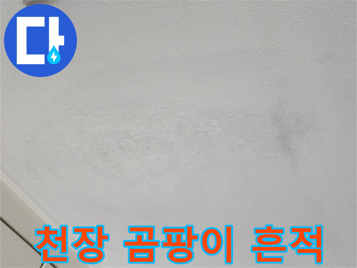 벽지 표면에 나타난 습기로 인한 곰팡이 및 변색