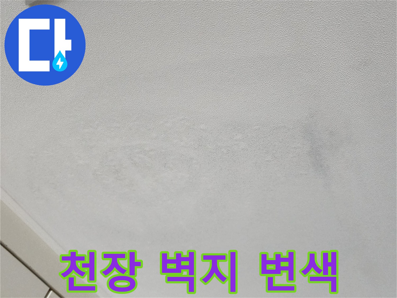 벽지 표면에 넓게 퍼진 누수 흔적과 얼룩