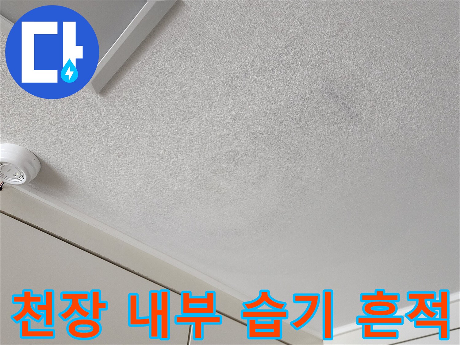 천장 매립등 주변의 곰팡이와 벽지 얼룩