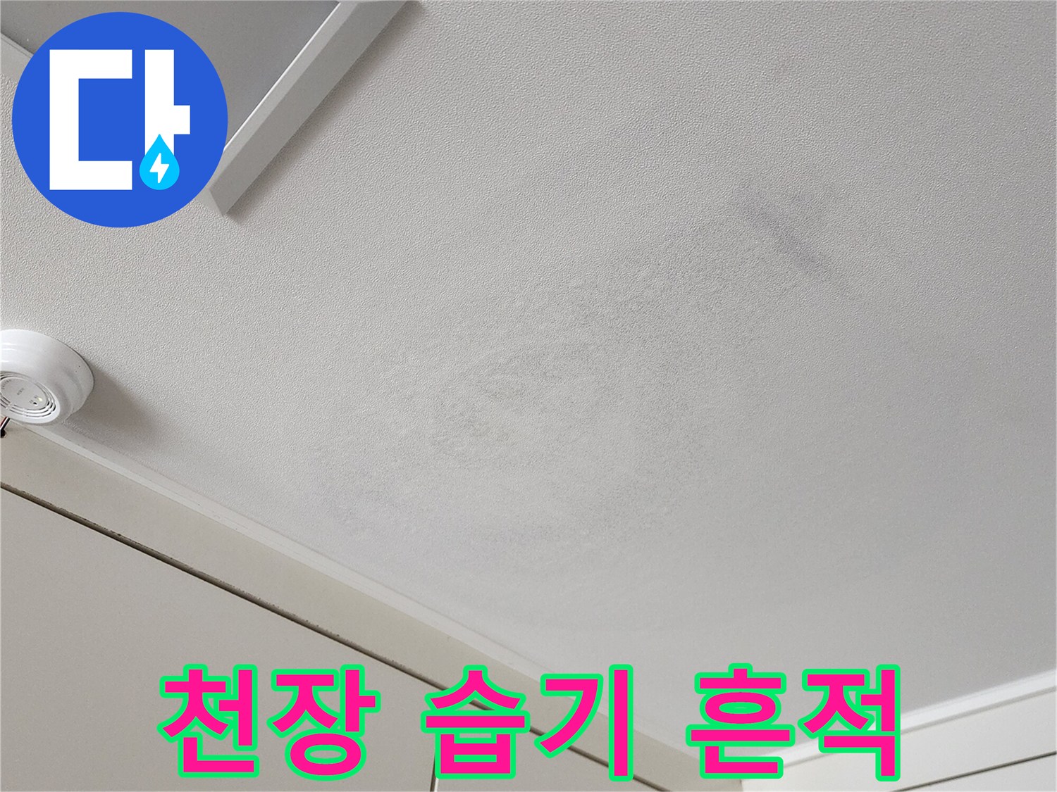 천장 몰딩과 벽지가 만나는 지점의 오염 상태