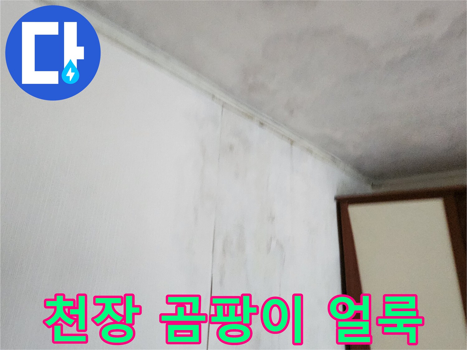 천장-벽면-상단에-퍼진-곰팡이와-습기-흔적