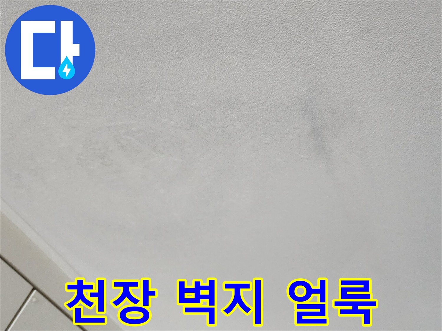 천장-벽지-변색-및-얼룩-상태-사진