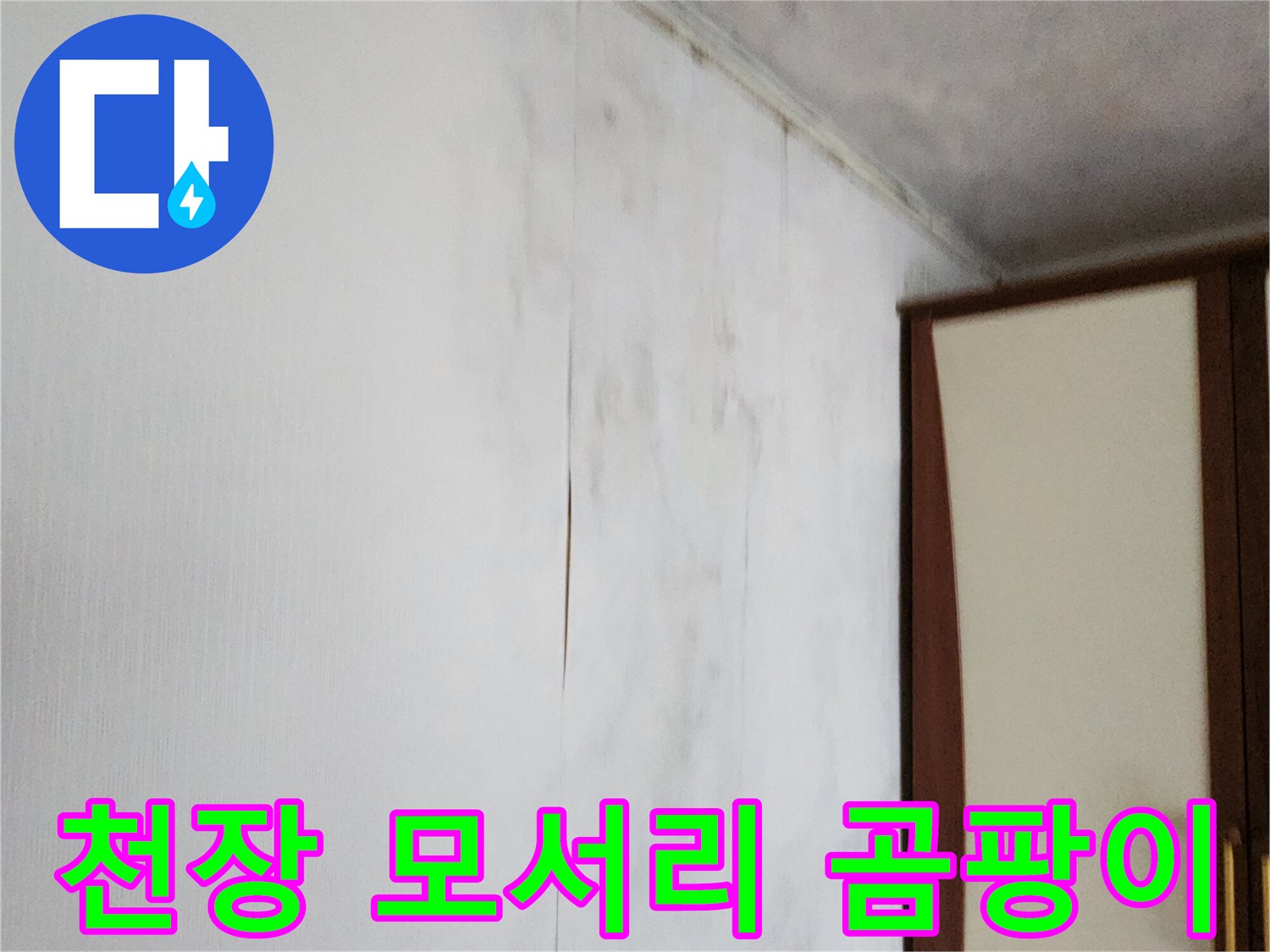 천장과 벽이 만나는 지점의 심한 오염 및 변색 상태