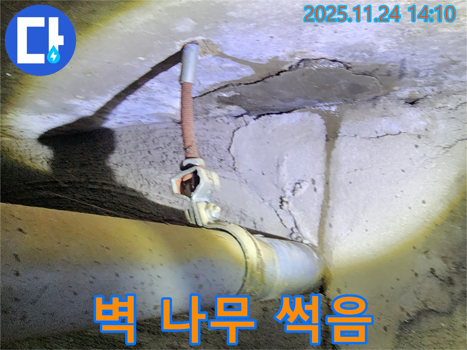 콘크리트 벽 배관 누수 - 주변 나무 썩음, 건물 안전 위협